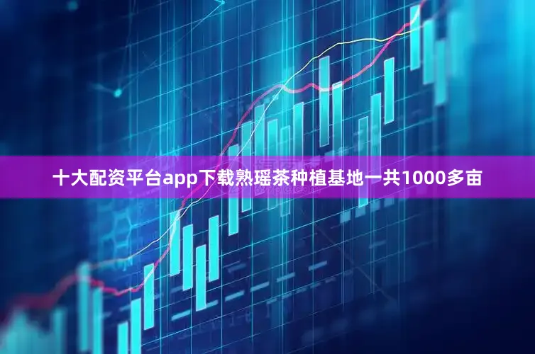 十大配资平台app下载熟瑶茶种植基地一共1000多亩