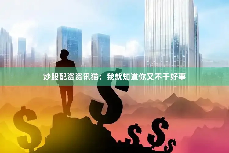 炒股配资资讯猫：我就知道你又不干好事