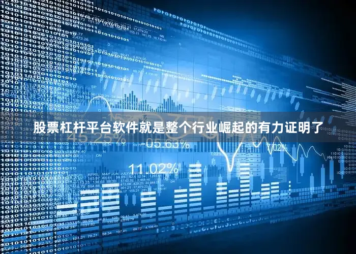股票杠杆平台软件就是整个行业崛起的有力证明了